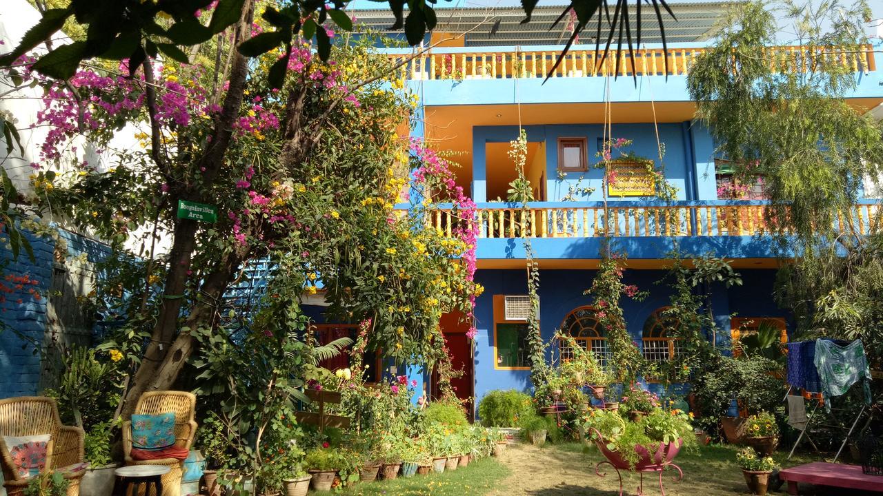 The Coral Tree Boutique Homestay Agra  Eksteriør bilde